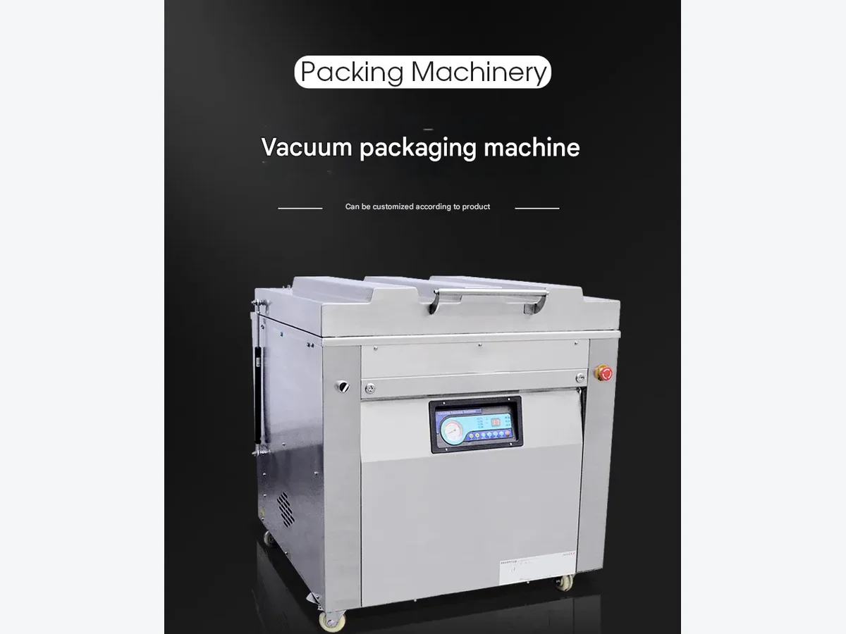 Single-Chamber Vacuum Packaging Machine product presentation view 1