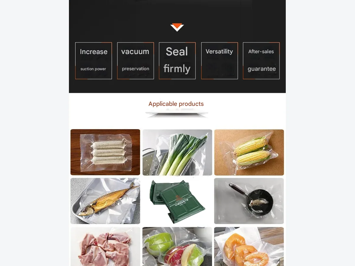 Single-Chamber Vacuum Packaging Machine product presentation view 2